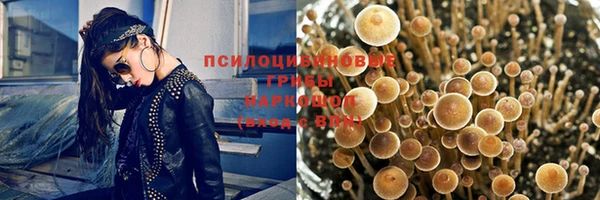 a pvp Баксан