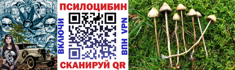 МЕГА зеркало  Можга  Псилоцибиновые грибы мицелий 