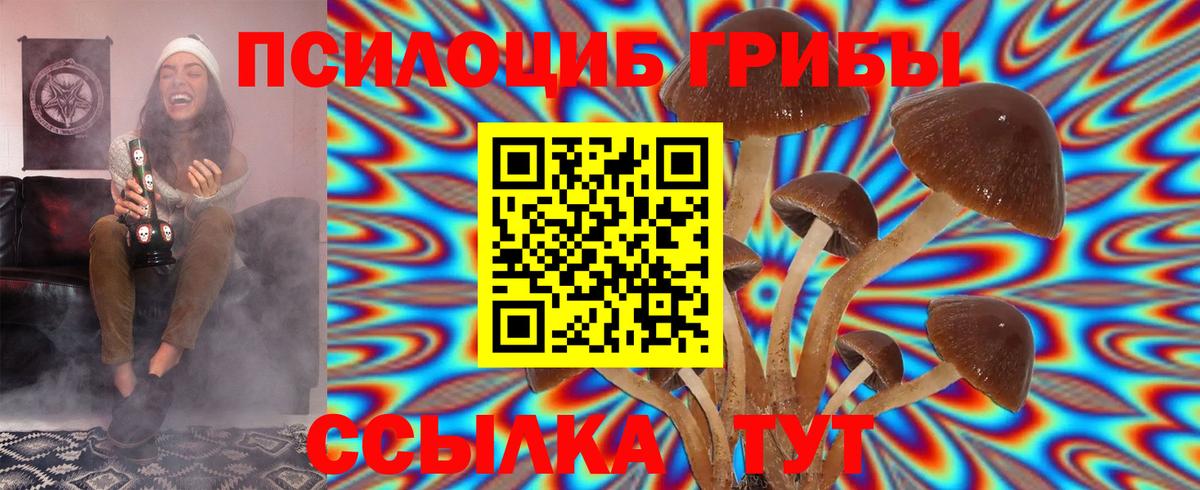 Галлюциногенные грибы GOLDEN TEACHER Можга