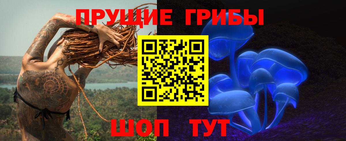 Галлюциногенные грибы мухоморы  Вход с VPN  Галлюциногенные грибы мицелий  Можга 